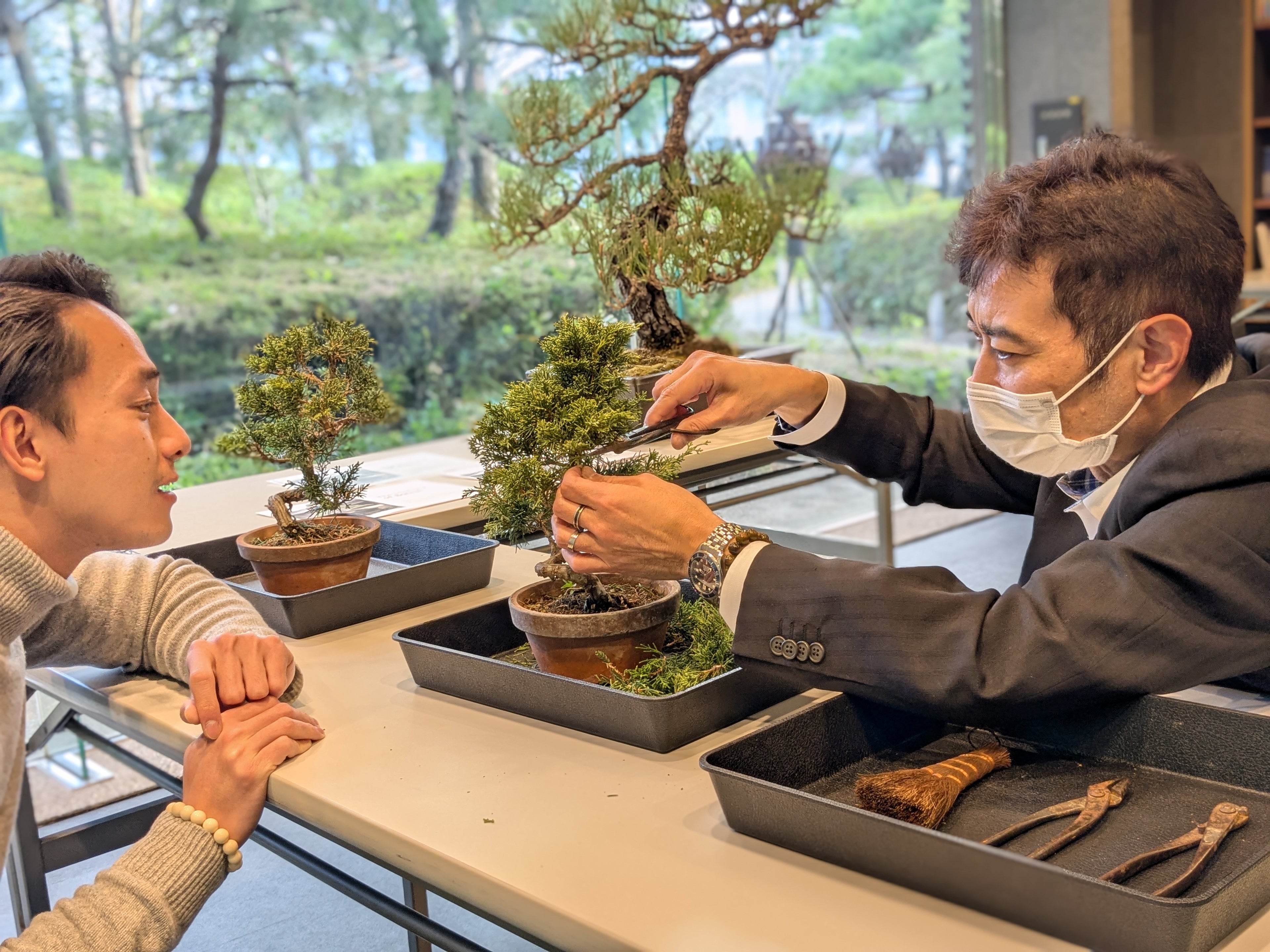 盆栽剪定 体験 !