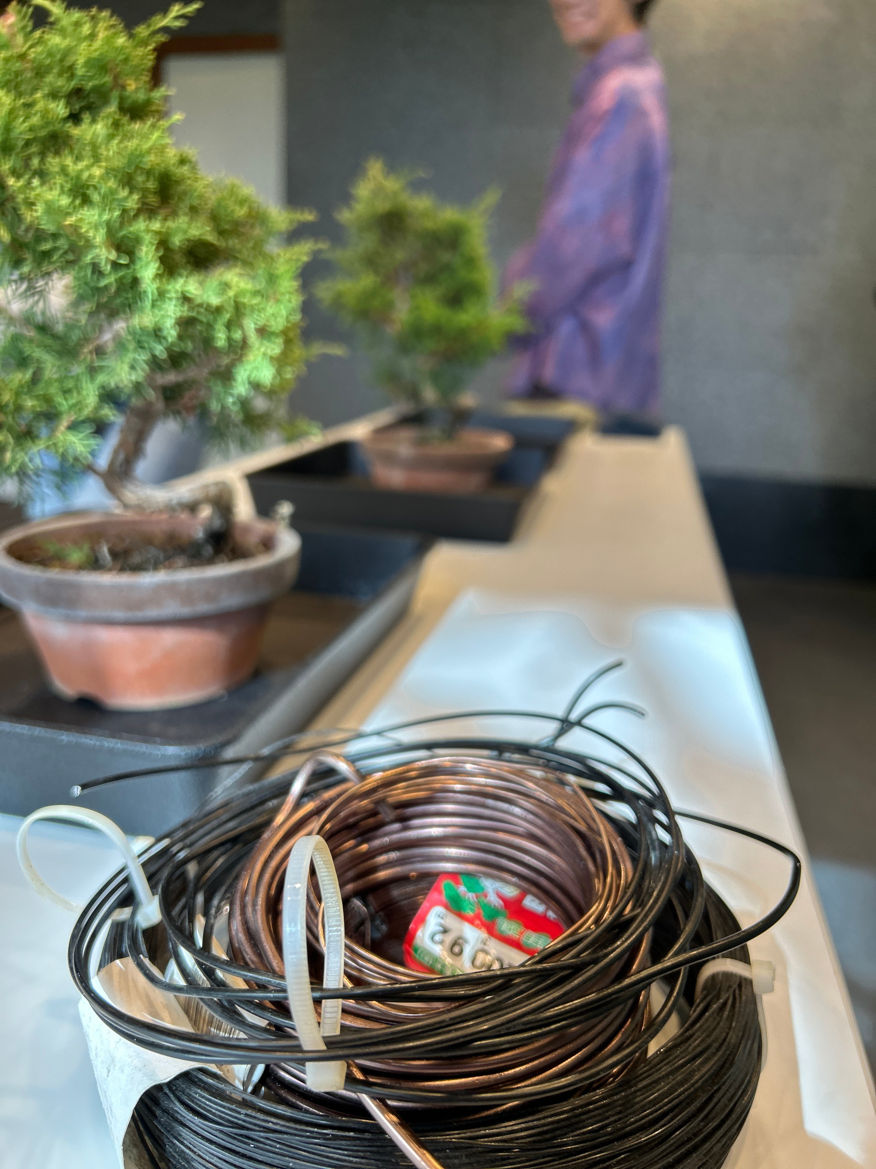 盆栽剪定 体験 ！