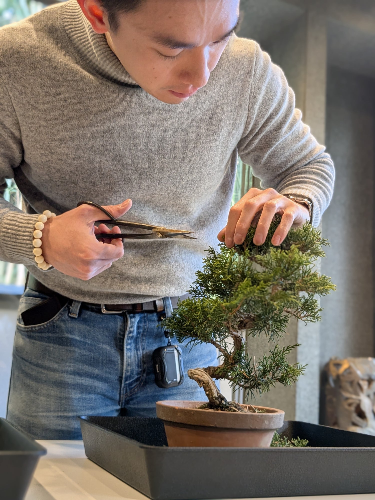 盆栽剪定 体験 ！