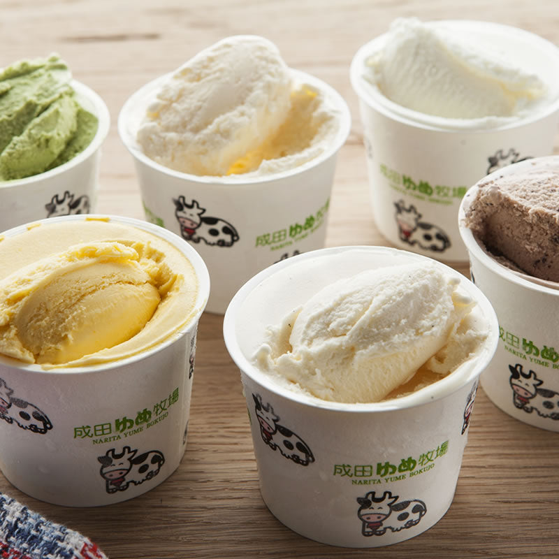 【送料無料】牧場オリジナルアイス小カップ12個セット